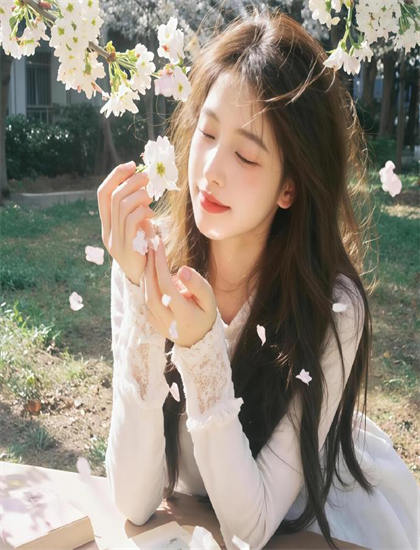 美学鉴赏：《绝世：花开花落花无悔》投资的金额规模与风险控制——引发思考的深刻话题