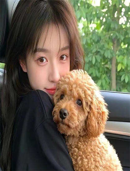 2026贺岁档《我的美女总裁老婆》：年度压轴作品分析